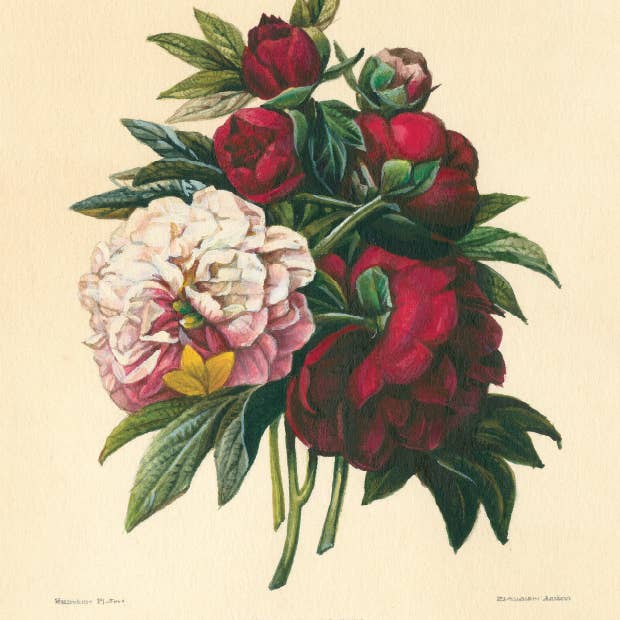 Bomo Art Budapest - Wholesale Everyday greeting card - Greeting Card + Envelope118