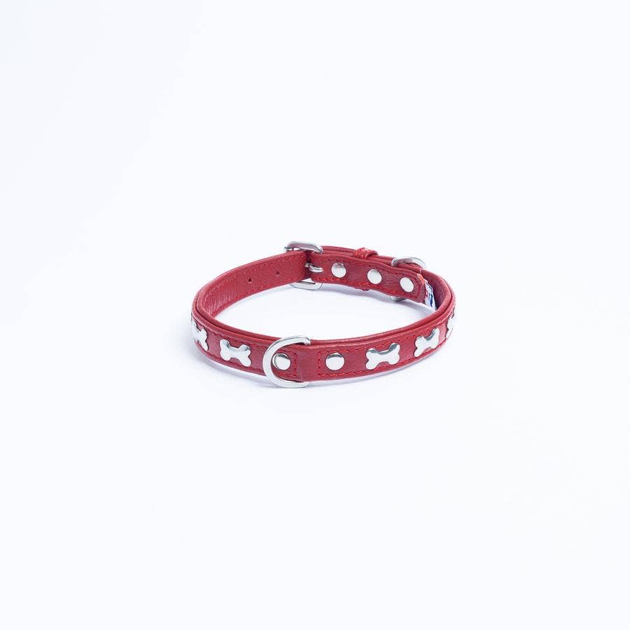 Angel Pet Supplies Inc. - Vendita all'ingrosso Collare - Cani - Collare per cani Rotterdam Bones di ANGEL™5