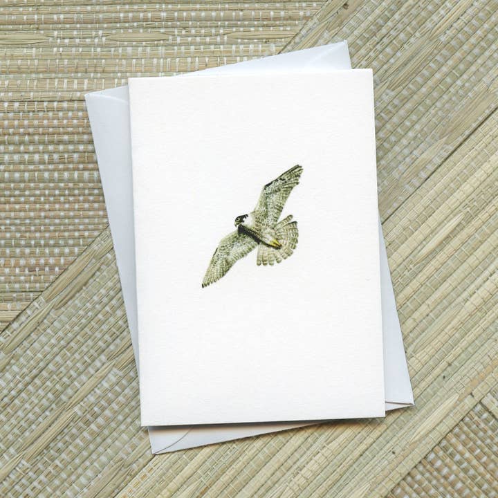 ”Peregrine Falcon” hälsningskort för wholesale av Paintings For Hummingbirds