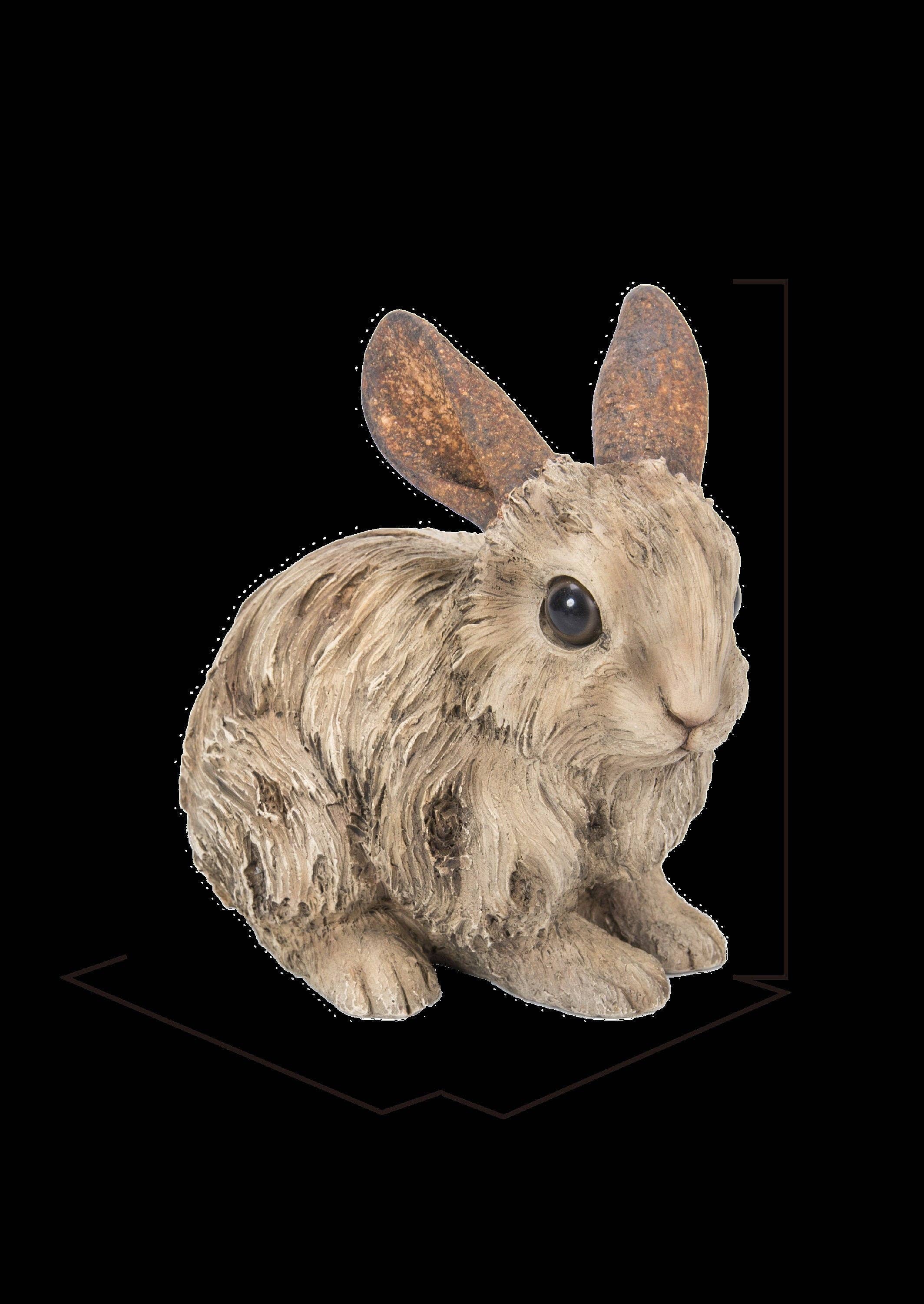 Hi-Line Gift Ltd. - Wholesale Decorative Figurine - Small Driftwood Rabbit Statue7