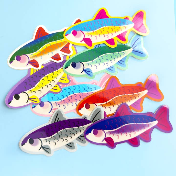 Rainbow Trout Pride Stickers for wholesale by Fiveboos Inc