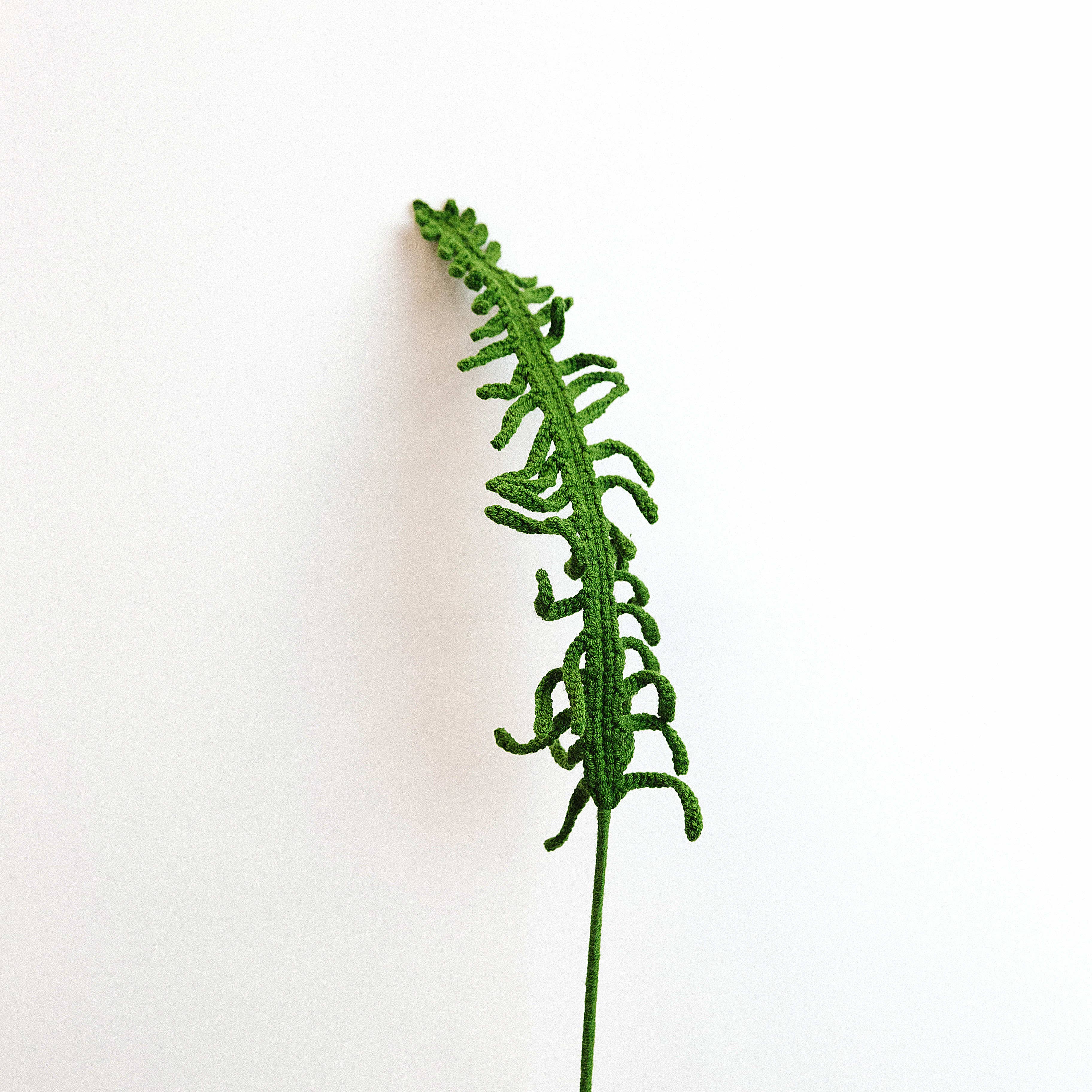 The Way to You – wholesale Artificial flowers – Handmade Crochet Flower- Sword Fern1