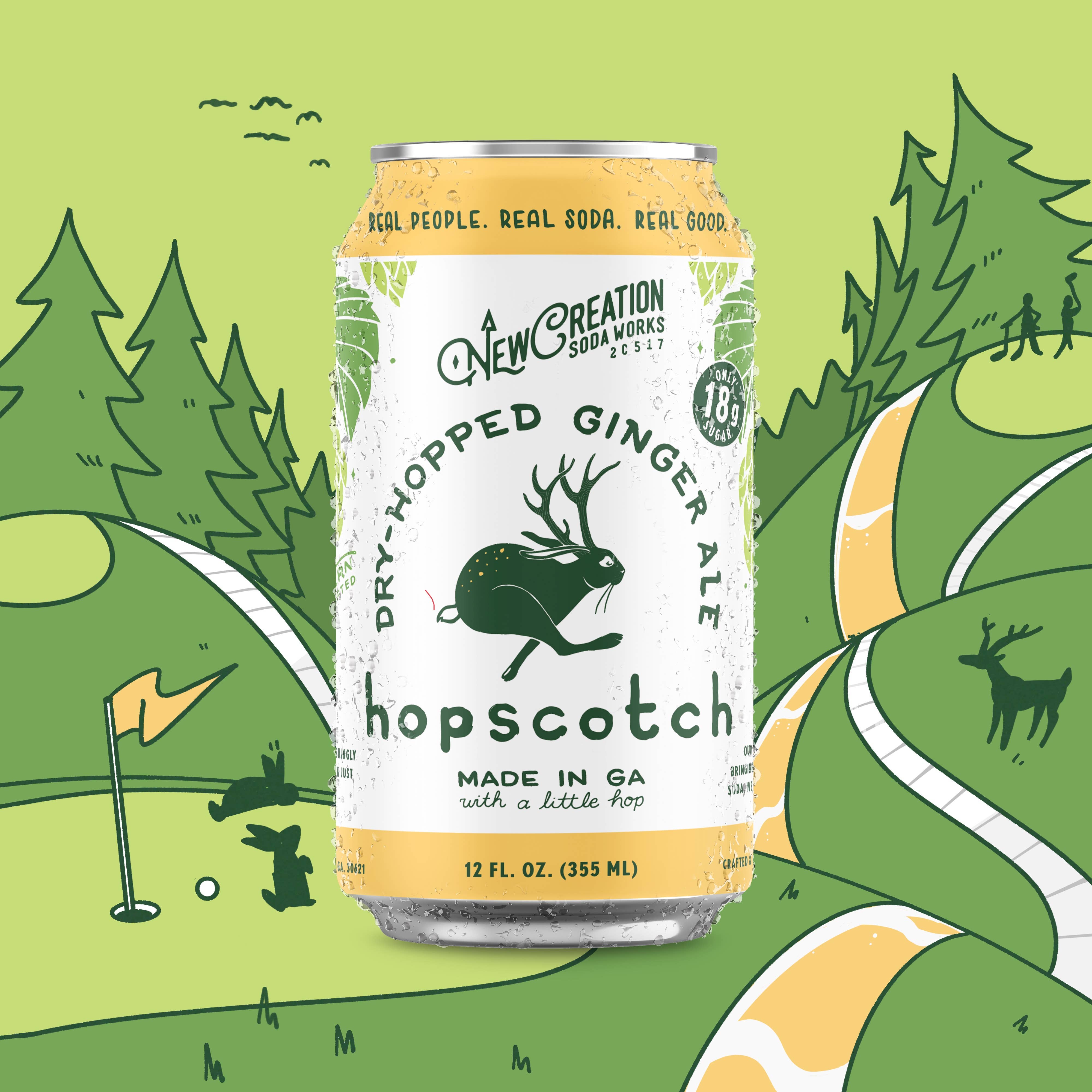 New Creation Soda - Wholesale Soda/Carbonated Drink - Hopscotch Dry-Hopped Ginger Ale (Case of 16)2