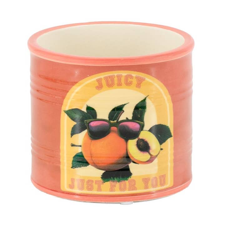 DRYdecorations - Wholesale Plant Pot - Bloempot peach