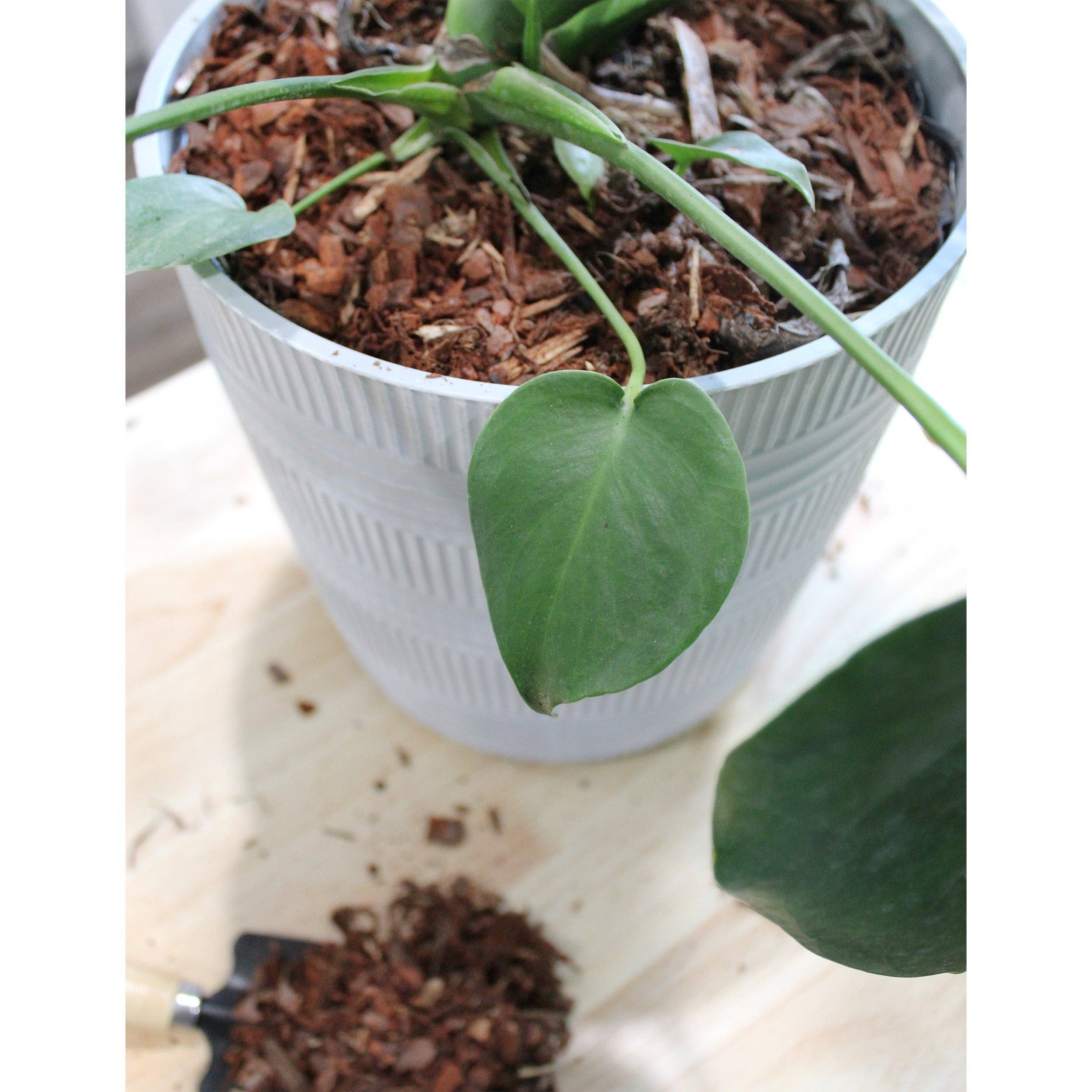 Kurated Korner – wholesale Planting/potting soil – Soil Sunrise 100% Natural Pine Bark Mulch Nuggets8