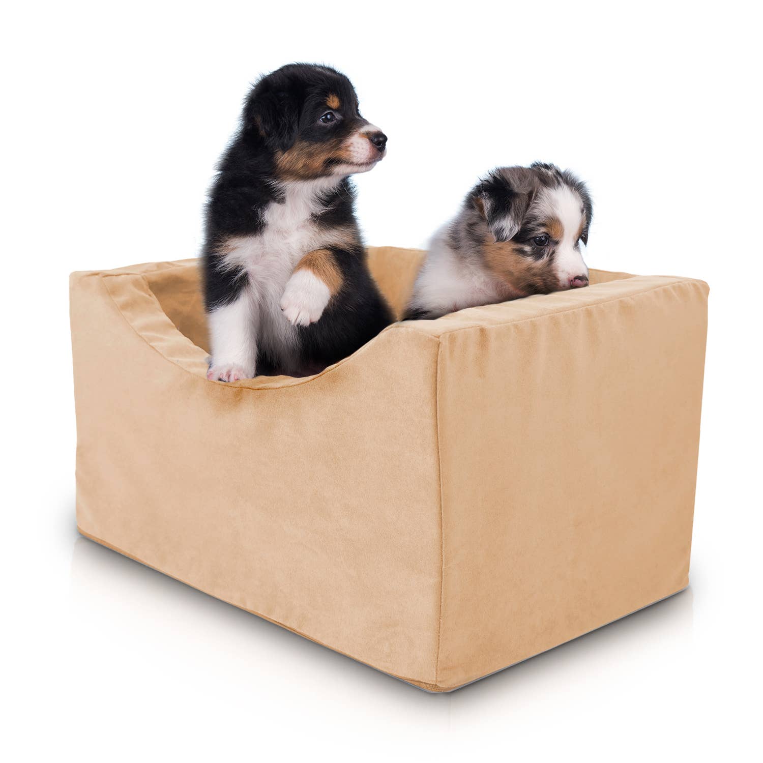 Precious Tails - Wholesale Pet Carrier - Cat/Dog - Precious Tails High Density Foam Pet Booster Seat27