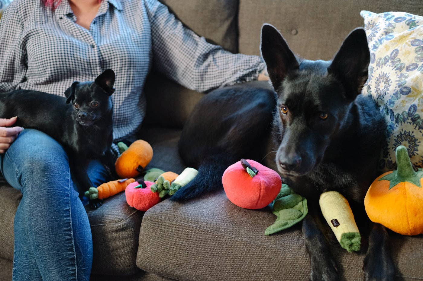 Only An Ocean Europe - Wholesale Pet plush toy – Dog - P.L.A.Y Garden Fresh Apple3