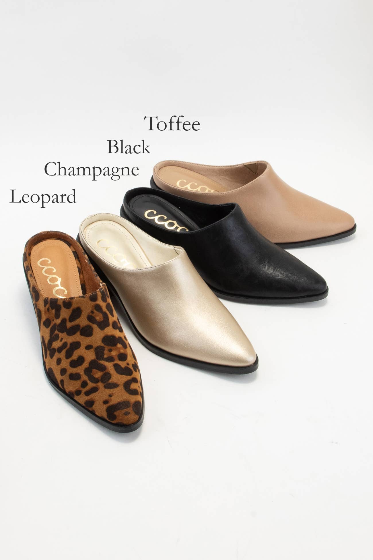 CCOCCI - Wholesale Mules - Women's - CCOCCI MINI PACK | GINA POINTED-TOE BLOCK HEEL MULE5