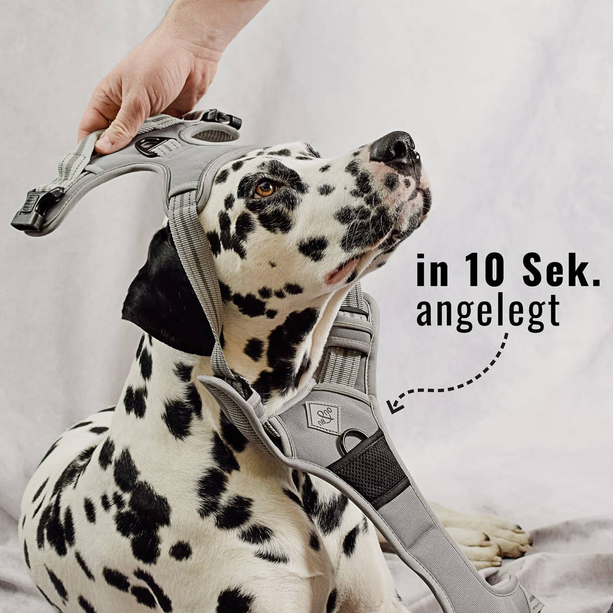 ne&no - Wholesale Pet Harness - Dog - ne&no® Outdoor Dog Harness + with Shock Absorber3