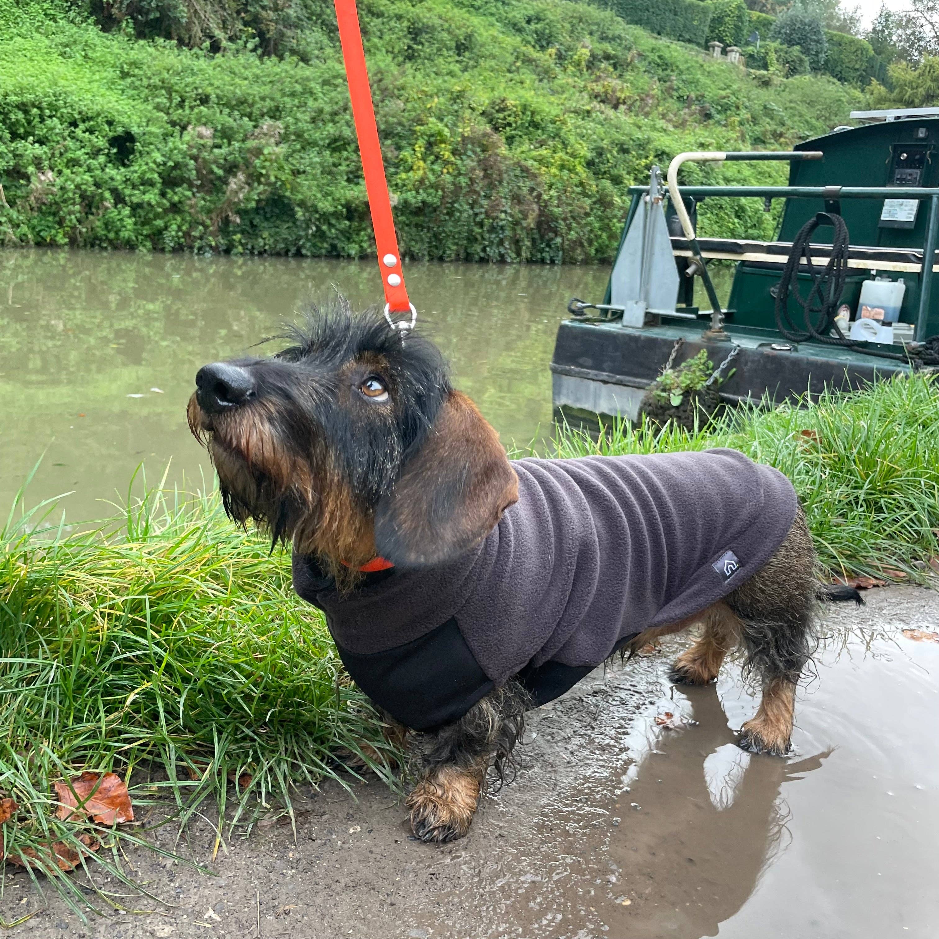 Doghouse – wholesale Tröja - Hund – Standard taxfleecetröja med vattentät magpanel9