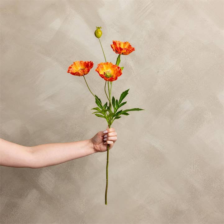 Audrey's Home & Gift - Wholesale Artificial Flowers - Stem - Poppy Dark Orange (PK/12)