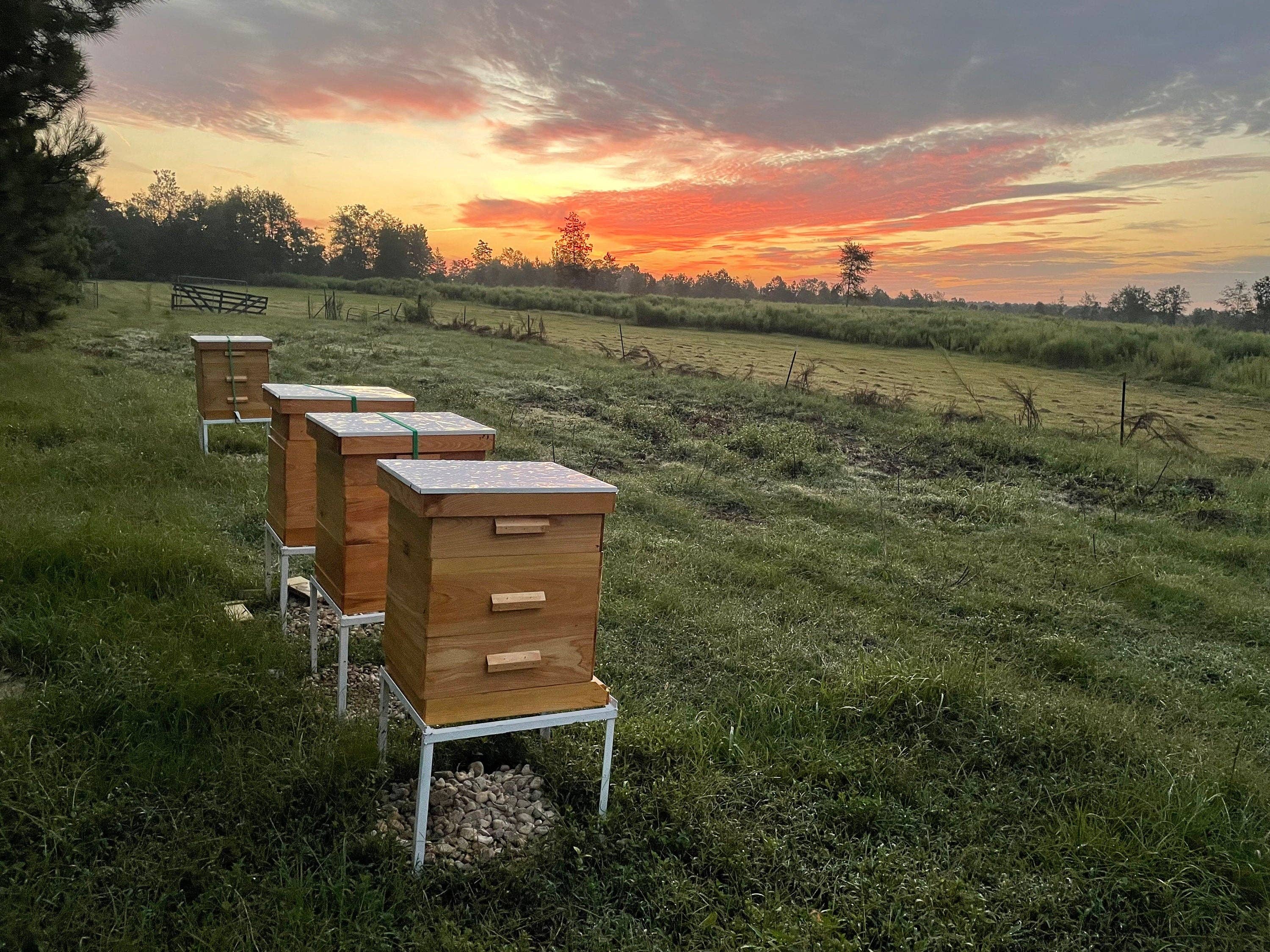 May's Market @ TLM – wholesale Honey – Whipped Cream Raw Honey2