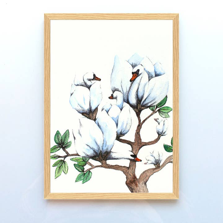 Swan Magnolia for wholesale by Løfberg og Noack