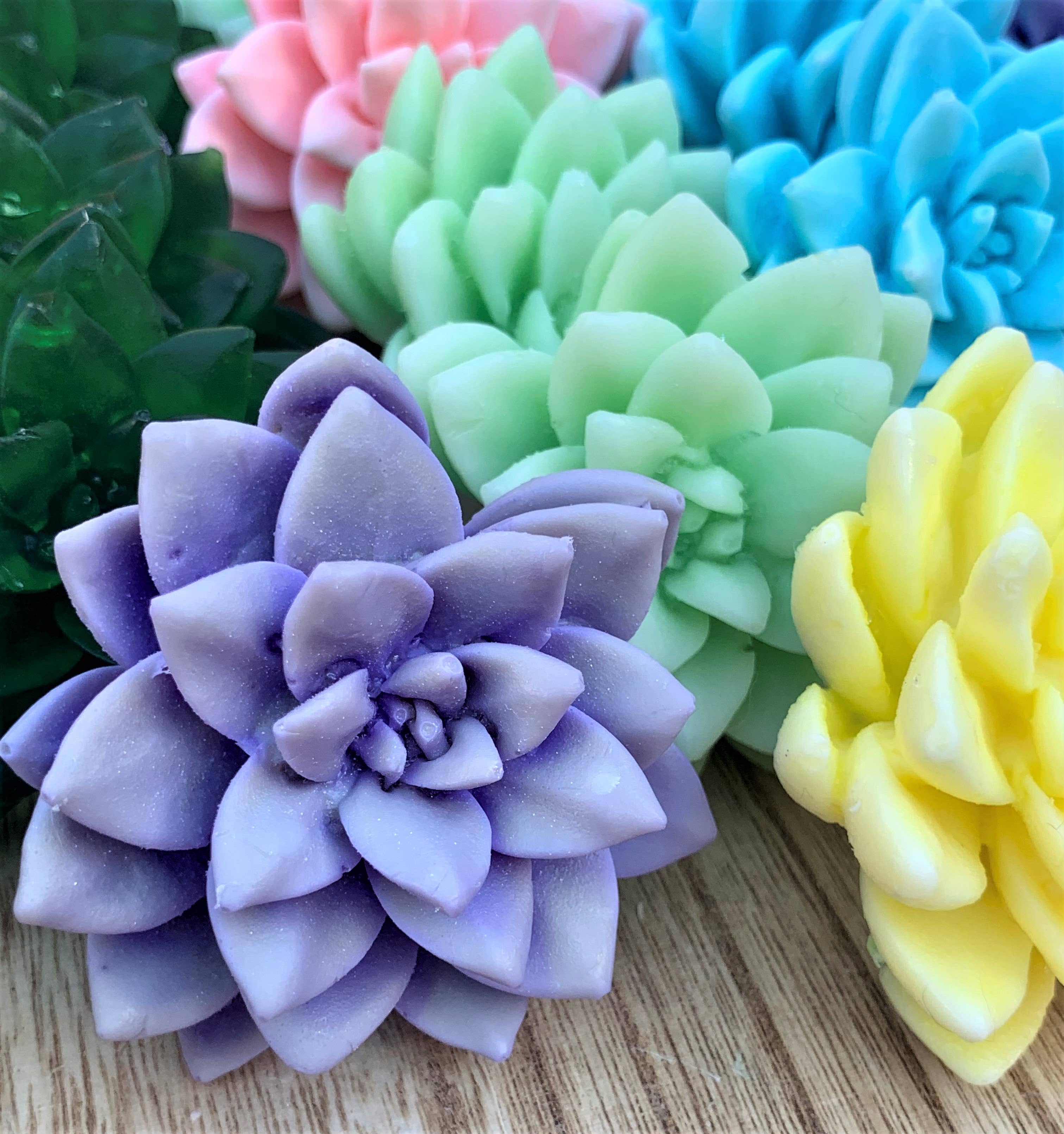 Plunk Soap and Candle Company - Wholesale Bar Soap - 3D Succulent Soaps: Party Favors, Cactus Soap, Unique Gift2