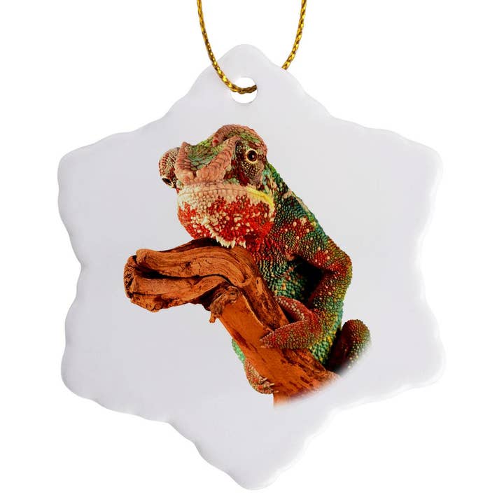 3dRose, En Färgglad Kameleontödla Kamouflage Närbild Fotografi, Ornament för wholesale av 3dRose