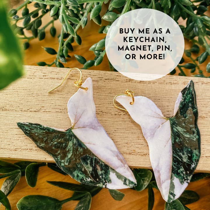 hethr - Wholesale Dangle Earrings - Syngonium Albo Leaf Earring, Magnet, Pin, Decor, Jewelry10