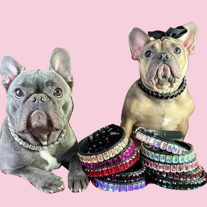 Pet Dog Collar Set for wholesale by APHISON