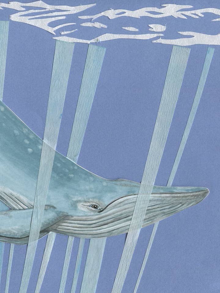 Cartão de Saudação em Branco Baleia Azul, 4,25" x 5,5" por atacado de Johanna Finnegan-Topitzer