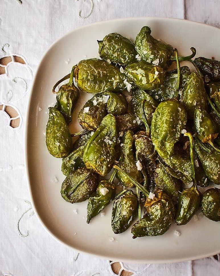 O Melhor do Ribatejo - Wholesale Plant Seeds - Padrón Pepper Seeds | From Portugal3