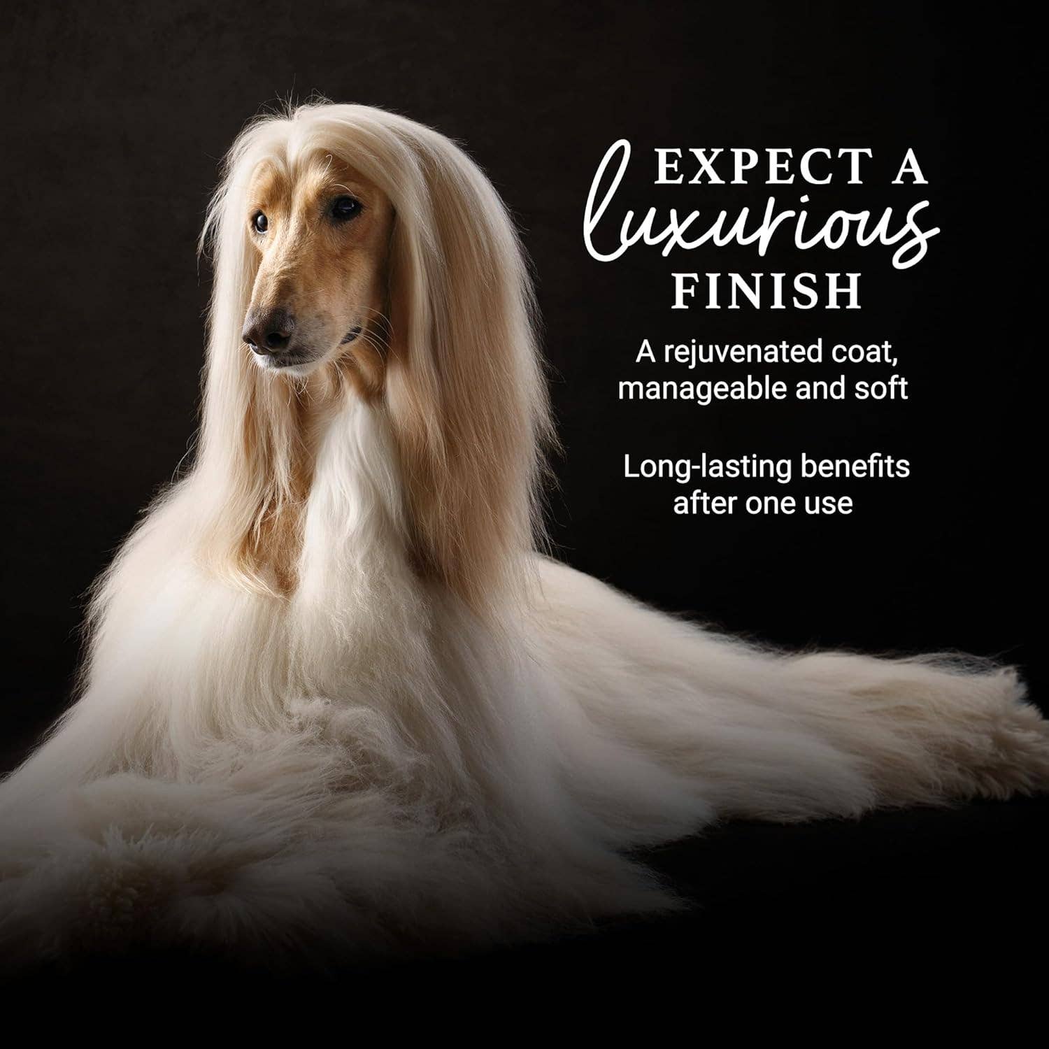 iGroom - Wholesale Pet Coat Conditioner - Dog - Deshedding + Detangling Conditioner 16oz3