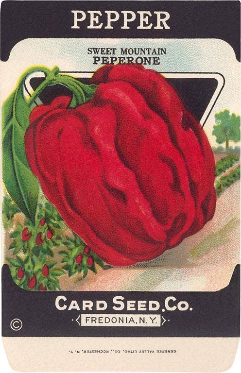 Found Image Press - Vendita all'ingrosso Stampa artistica - Stampa d'Arte FR-345 Bustina di Semi di Peperone Rosso0