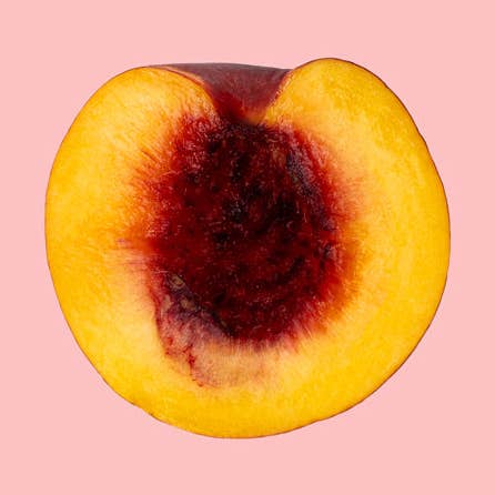 Java for wholesale by Mahers Pure Coffee