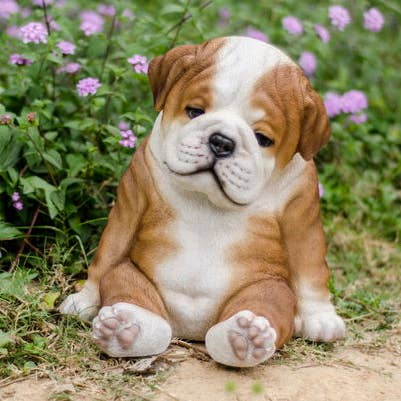 Bulldog Sleeping Medium for wholesale by Hi-Line Gift Ltd.