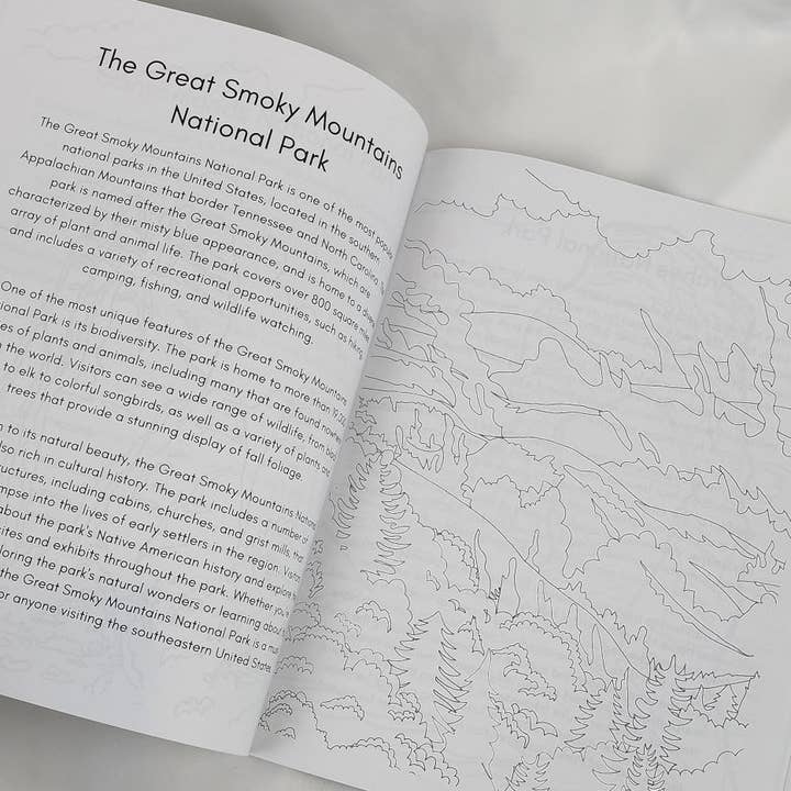 National Parks and Beyond - Wholesale Coloring & Activity Book - Adult - Color Your Way through the National Parks, Coloring book6