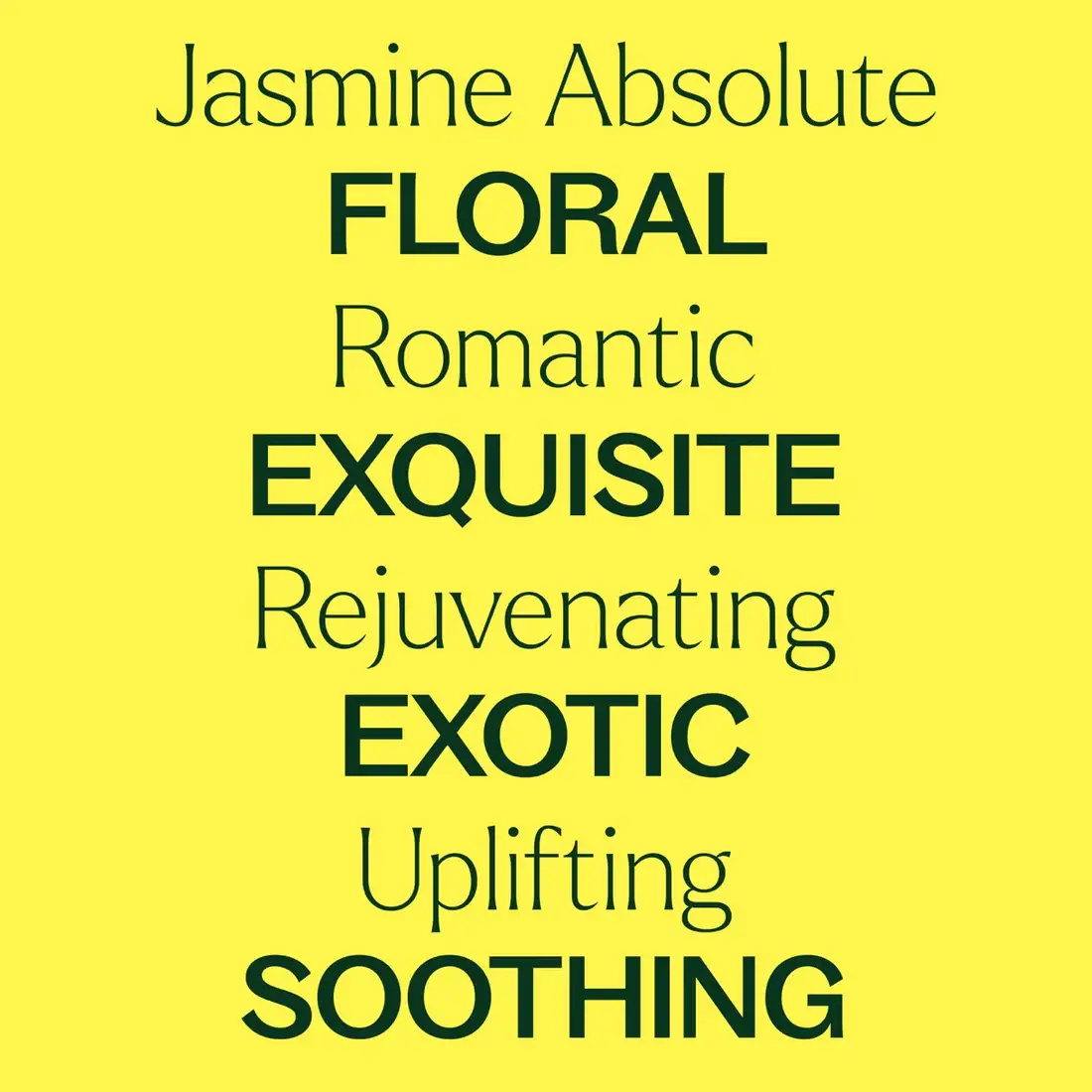 Plant Therapy - Wholesale Essential Oil - Jasmine Sambac Absolute 2.5 mL2