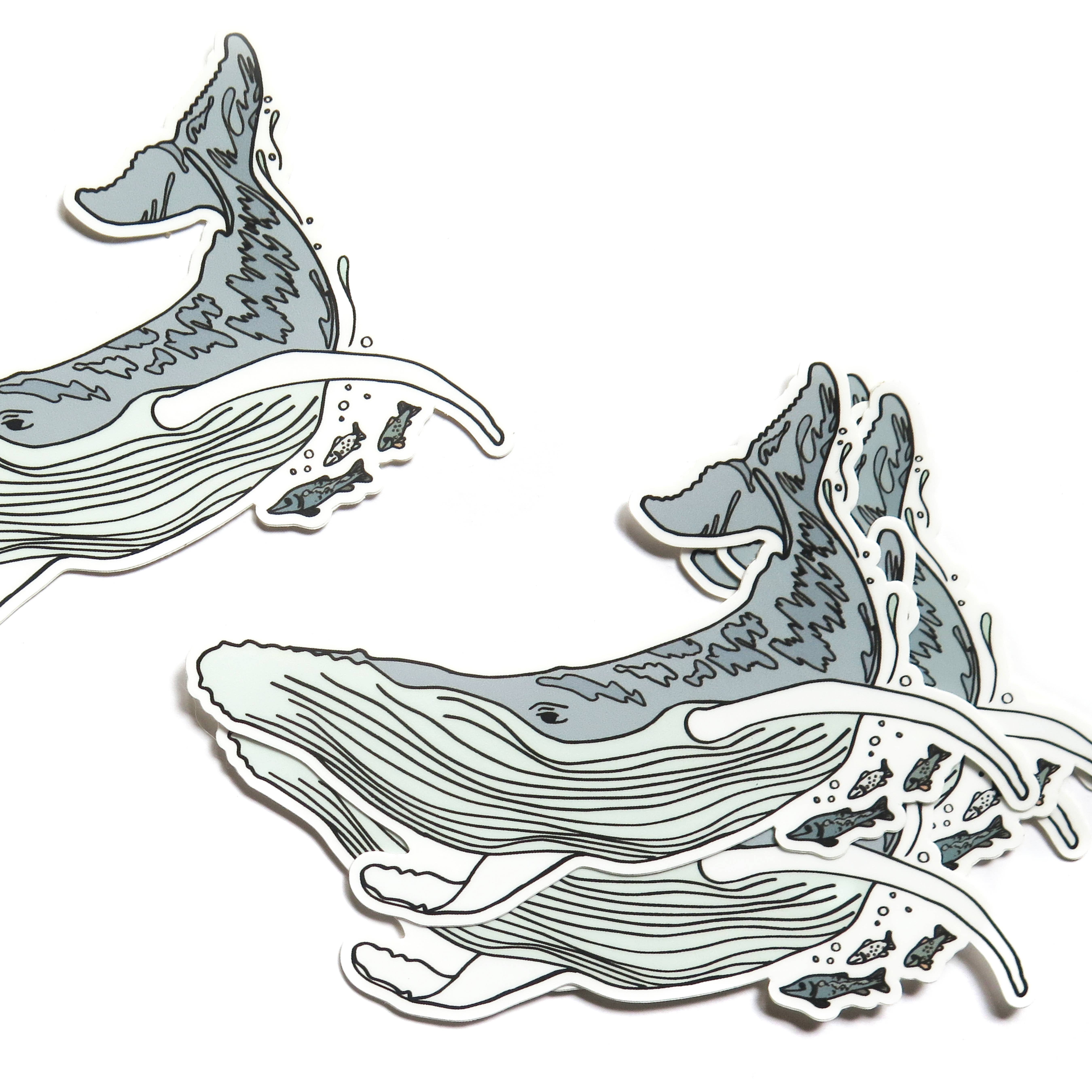 Wild Life Illustration Co. - Wholesale Sticker - Whale Sticker1