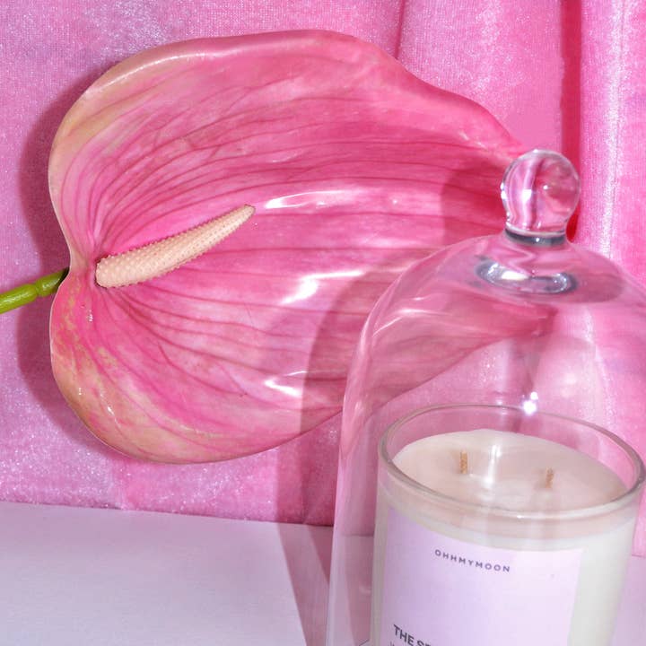 Il Club del Benessere per la vendita all'ingrosso da parte di ohhmymoon