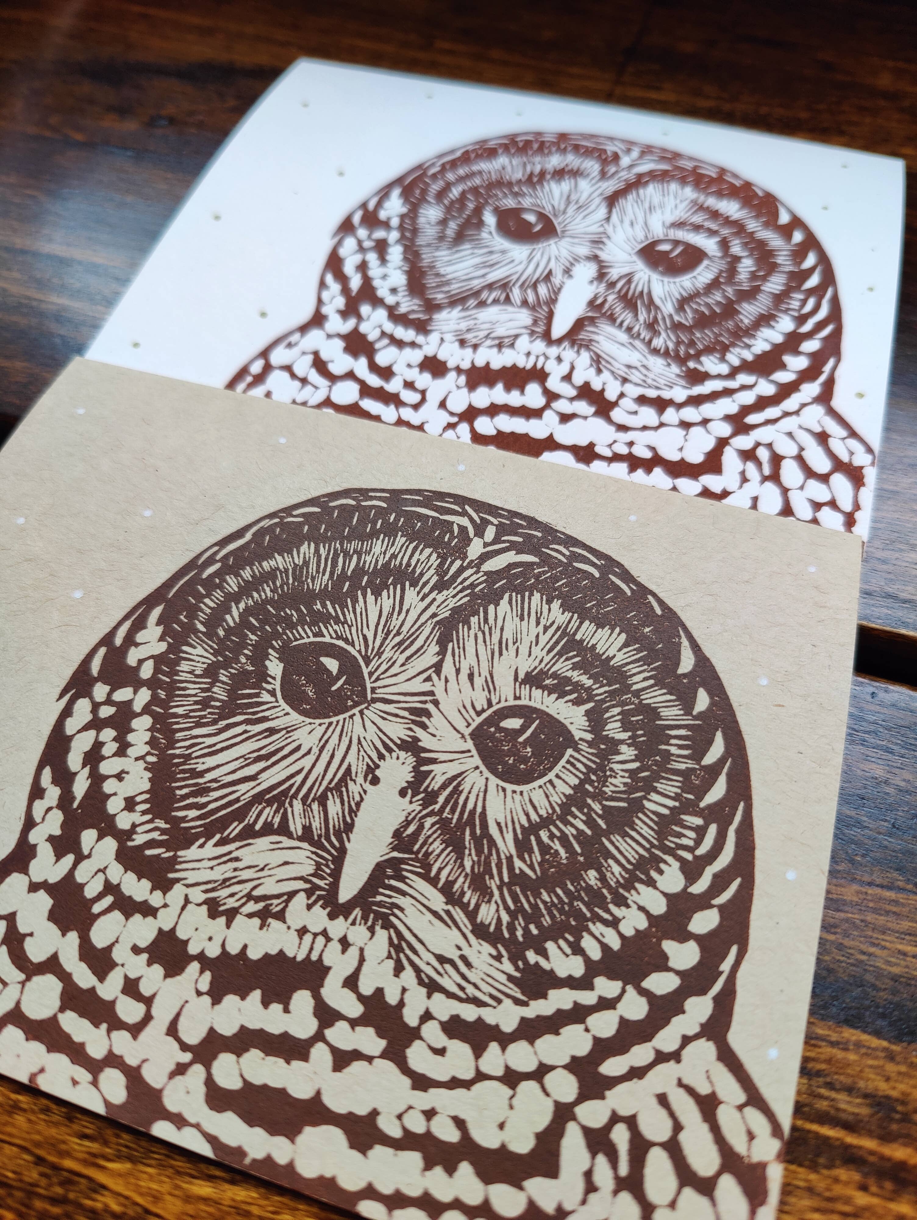 Winter Pickle Press - Wholesale Season's Greetings Card - Handprinted linocut barred owl holiday folded card3