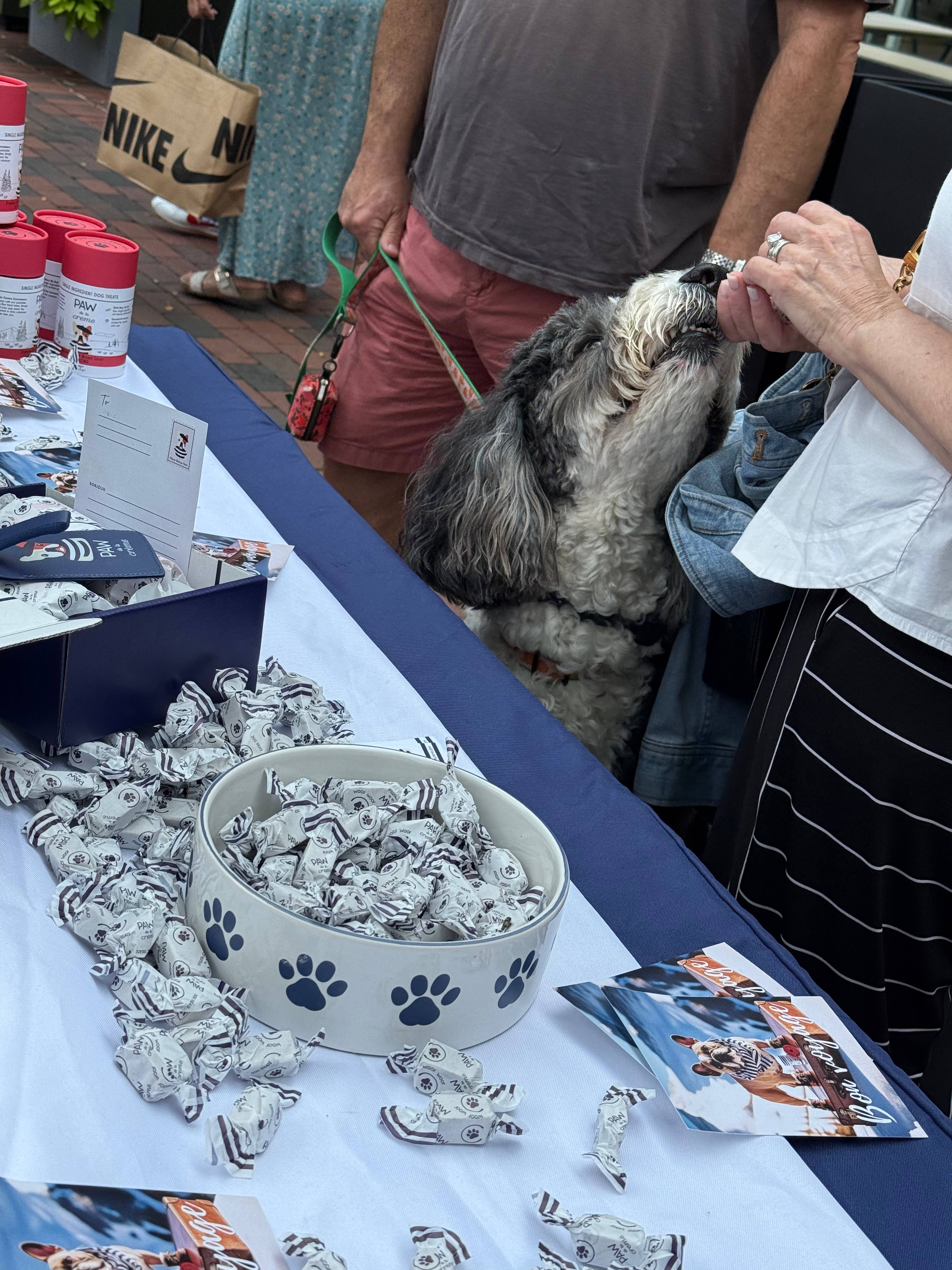 Paw de la Creme - Wholesale Pet Treats - Dog - Loose Bon Bon Singles - Freeze-Dried Bison Liver4