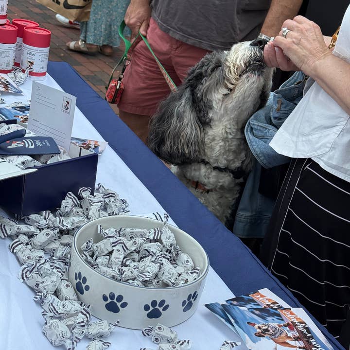 Paw de la Creme - Wholesale Pet Treats - Dog - Loose Bon Bon Singles - Freeze-Dried Bison Liver4