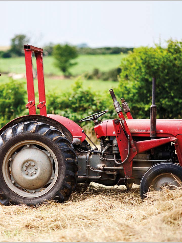 Trattore Vintage MasseyFerguson per la vendita all'ingrosso da parte di Abacus Cards and Clare Maddicott Publications