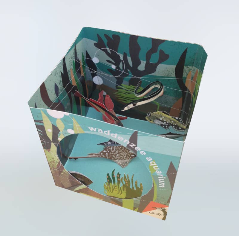 Loopvis - Wholesale DIY Craft Kit - Wadden Sea Aquarium1