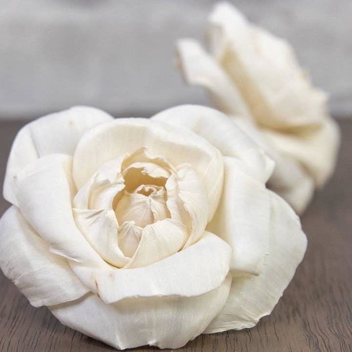 2" Ravishing Rose (10 Pack) for wholesale by Sola Wood Flowers