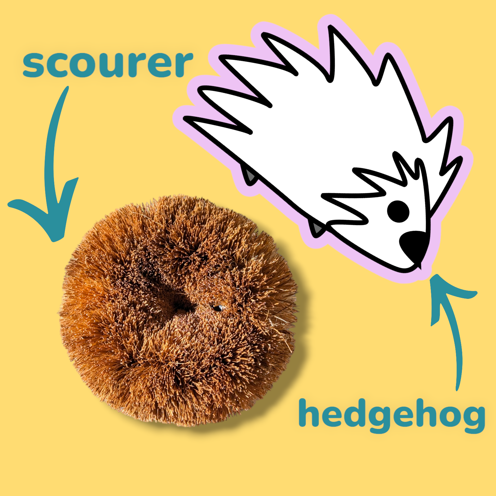 ecojiko – wholesale Cleaning brush – Hedgehog Coconut Scourers (2 pck) | Washing Up Scourers5