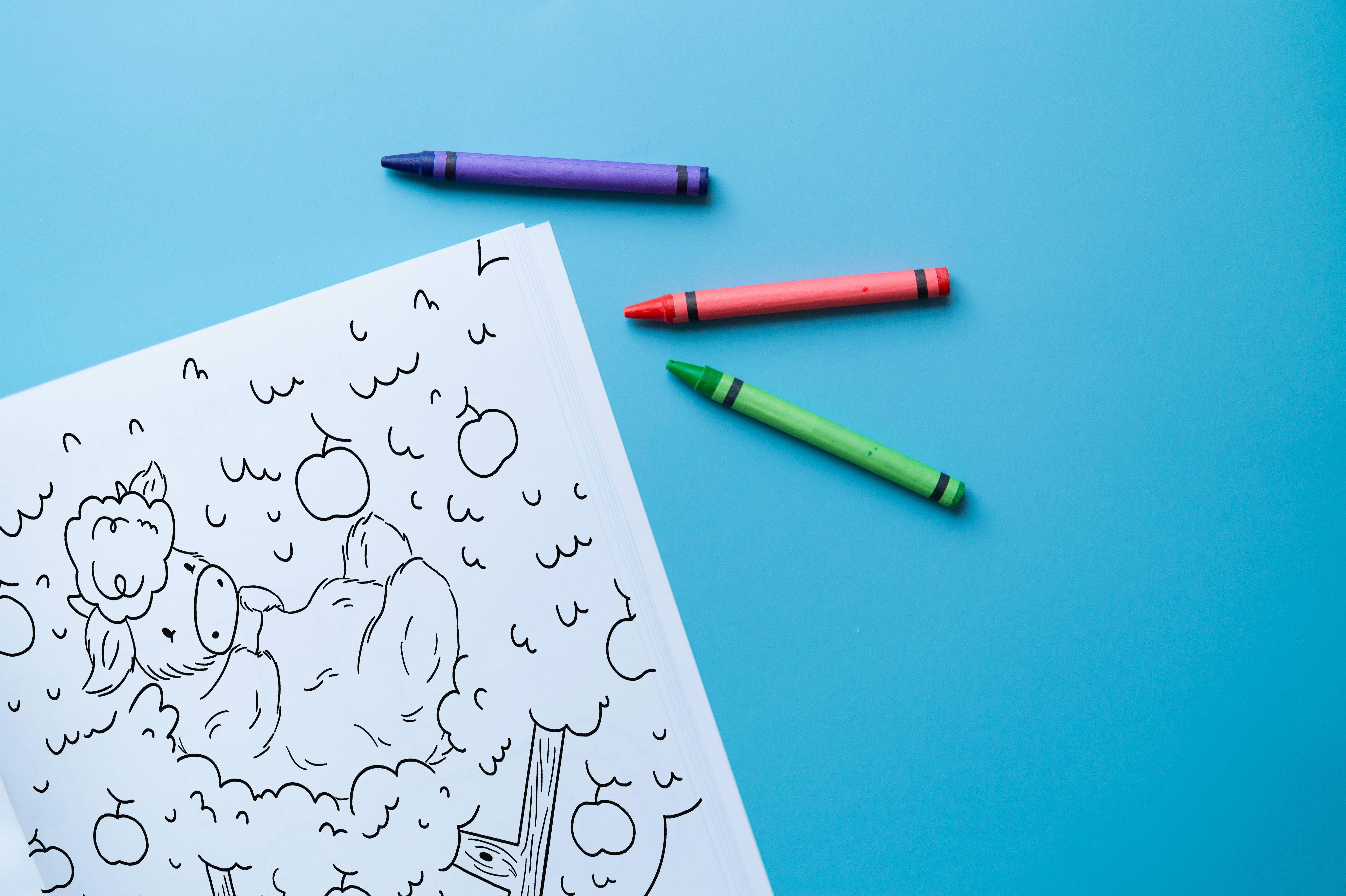 Brown Paper Fox - Wholesale Coloring & Activity Book - Kids & Baby - Missy Moo and Friends | Colouring Book6