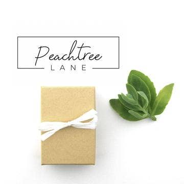 Peachtree Lane Co. - Wholesale Stud/Post Earrings - Arizona State Hand-Stamped Brass Hexagon Earrings2