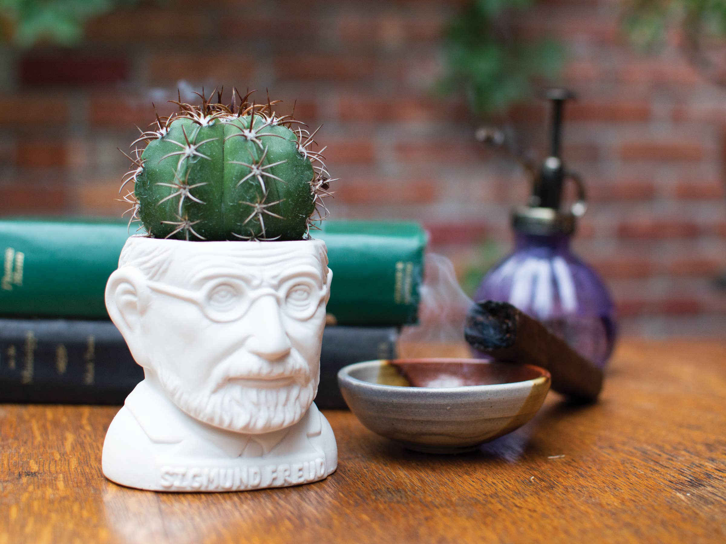 Unemployed Philosophers Guild - Wholesale Plant Pot - Sigmund Freud Planter2
