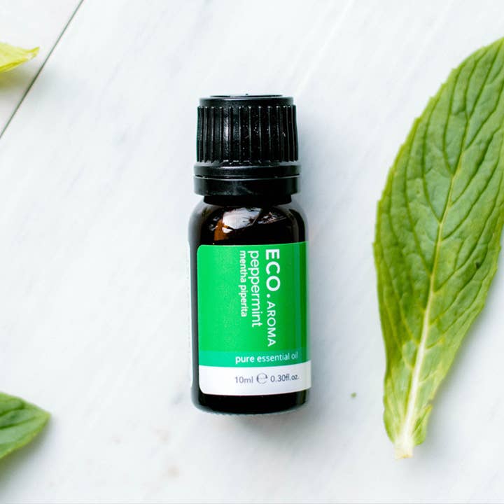 ECO. Modern Essentials - Wholesale Essential oil - Peppermint Pure Essential Oil1