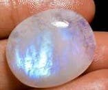 Treisi - Wholesale Dangle Earrings - E4942