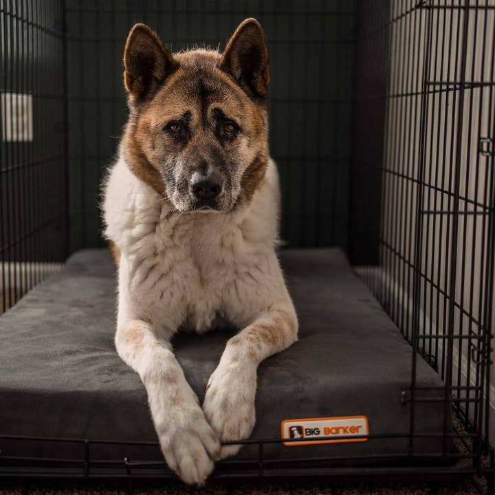 Barker Beds - Wholesale Pet Bed - Dog - 4" Orthopedic Crate Bed7