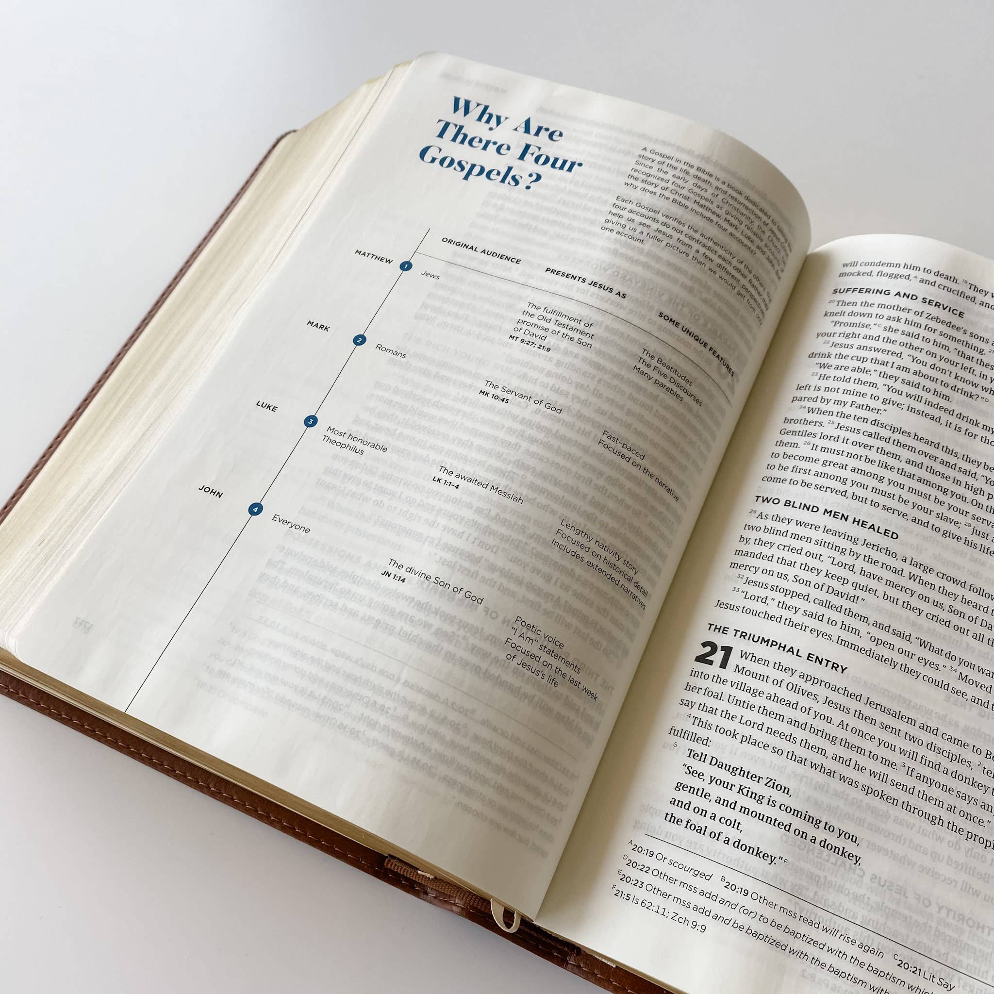 Joy Creative Bibles - Wholesale Religion - CSB He Read Truth Bible with Custom Name6