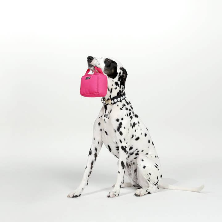 Kate Spade New York by Lifeguard Press - Wholesale Pet Chew Toy - Dog - Dog Chew Toy, Pink Handbag