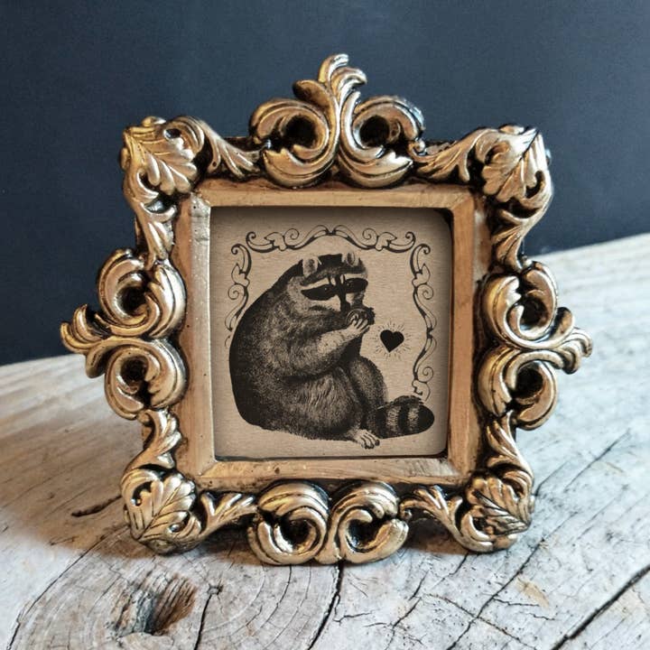 BoyPilot Goods - Wholesale Art Print - Mini Vintage Framed Animal Prints - Raccoon, Frog, Cat1