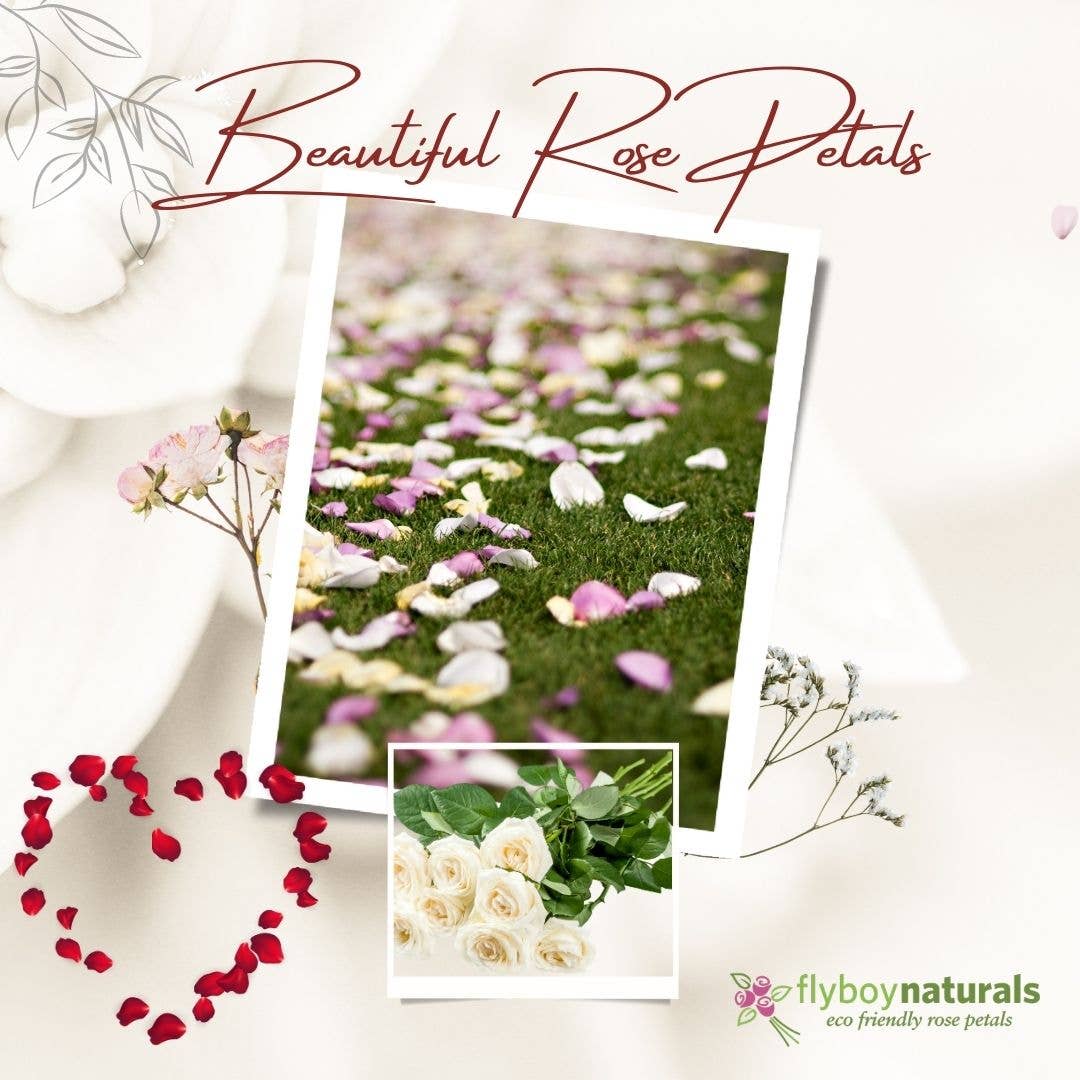 Flyboy Naturals Rose Petals - Wholesale Dried/pressed flowers - Bridal White/Ivory Freeze-Dried Rose Petals 30 Cups USA19