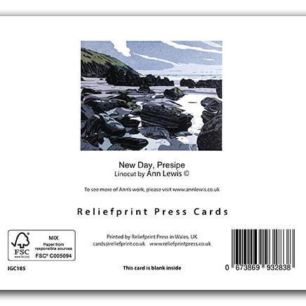 Cardiau Nico Cards - Wholesale Everyday Greeting Card - IGC185 New Day, Presipe - Ann Lewis1