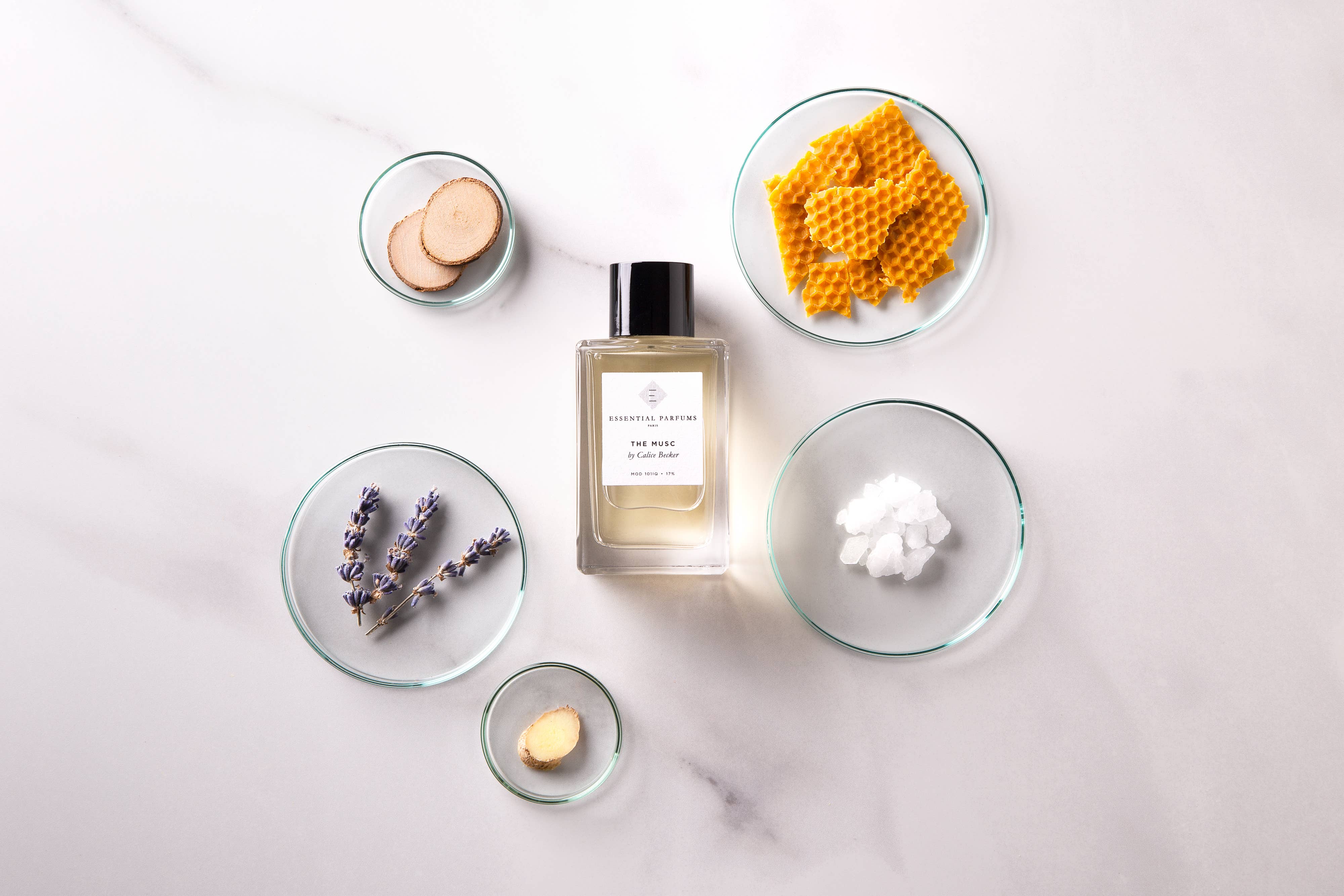 ESSENTIAL PARFUMS - Wholesale Perfume/Eau de Toilette - The Musc by Calice Becker  - 100ML Spray Refillable3